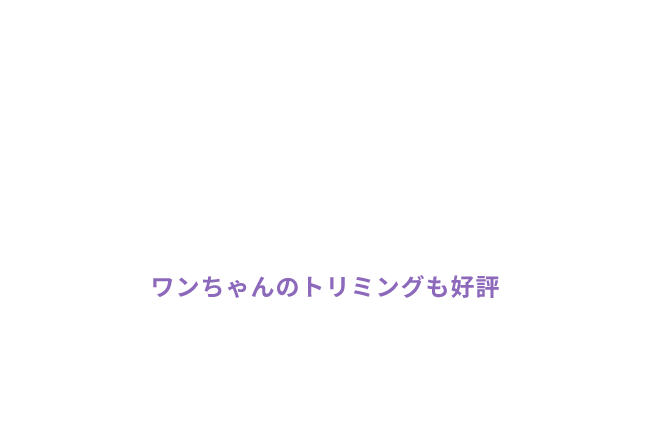 ワンちゃんのトリミングも好評