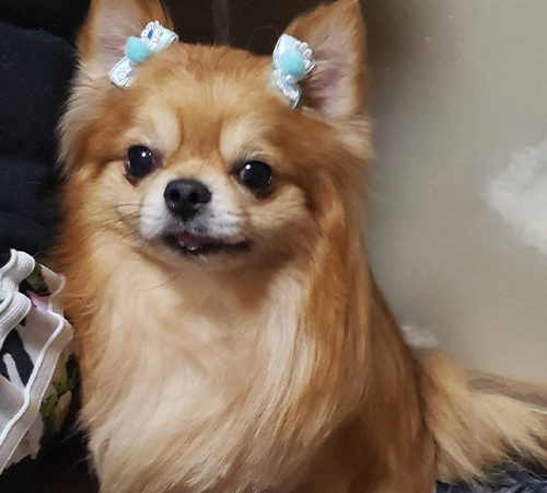 ふうたパパ💙