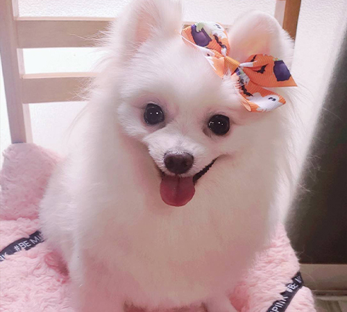 キズナママ♥️