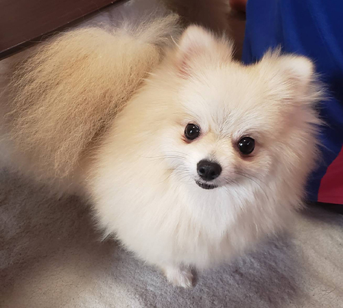 ニライママ♥️