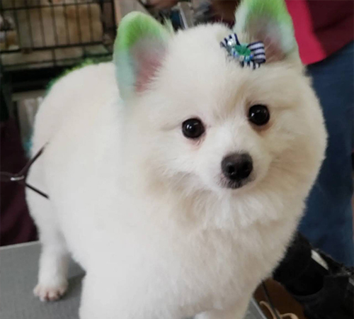 スバルくん💙