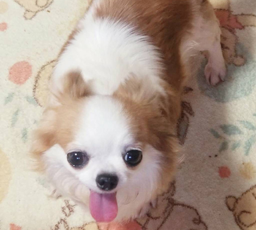 アイラママ♥️