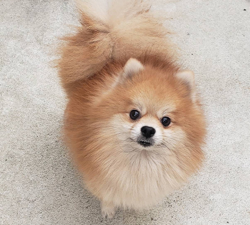 ミライ💙